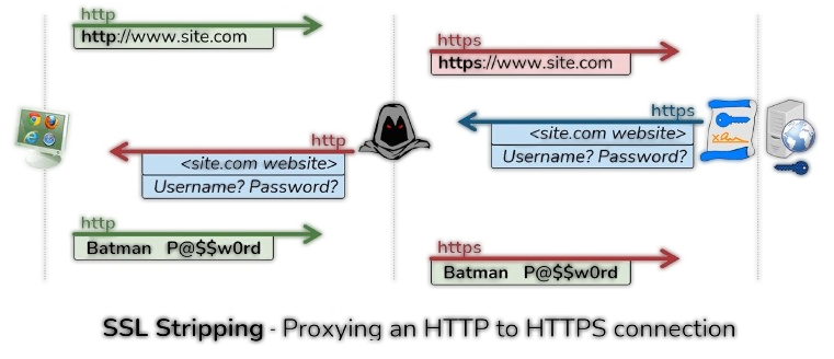 SSL Stripping